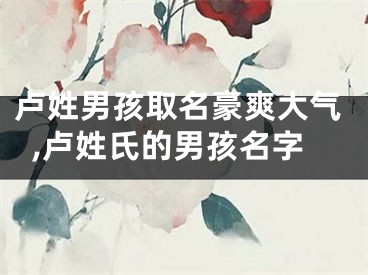 卢姓男孩取名豪爽大气,卢姓氏的男孩名字