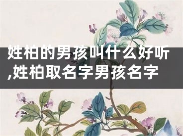 姓柏的男孩叫什么好听,姓柏取名字男孩名字