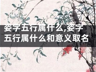 姿字五行属什么,姿字五行属什么和意义取名