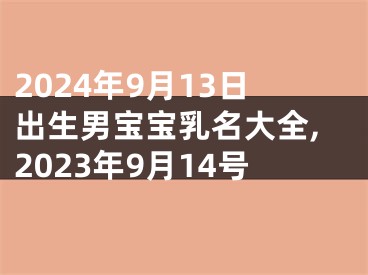 2024年9月13日出生男宝宝乳名大全,2023年9月14号