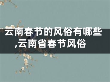 云南春节的风俗有哪些,云南省春节风俗