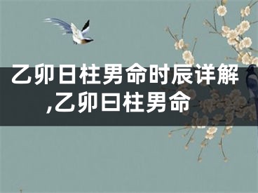 乙卯日柱男命时辰详解,乙卯曰柱男命