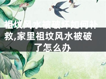 祖坟风水被破坏如何补救,家里祖坟风水被破了怎么办