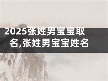 2025张姓男宝宝取名,张姓男宝宝姓名