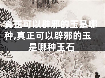 真正可以辟邪的玉是哪种,真正可以辟邪的玉是哪种玉石