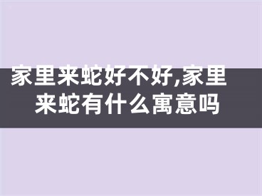 家里来蛇好不好,家里来蛇有什么寓意吗