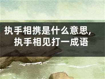 执手相携是什么意思,执手相见打一成语