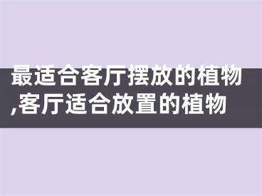 最适合客厅摆放的植物,客厅适合放置的植物