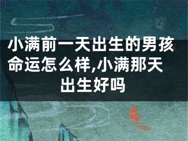 小满前一天出生的男孩命运怎么样,小满那天出生好吗