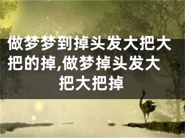做梦梦到掉头发大把大把的掉,做梦掉头发大把大把掉