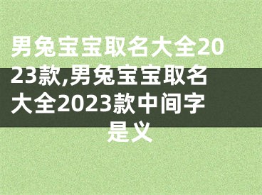 男兔宝宝取名大全2023款,男兔宝宝取名大全2023款中间字是义
