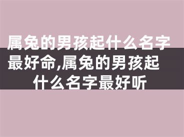 属兔的男孩起什么名字最好命,属兔的男孩起什么名字最好听