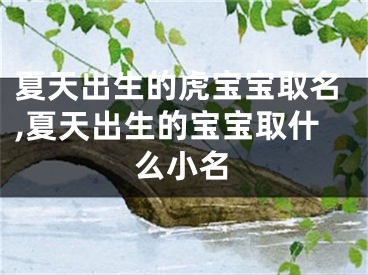 夏天出生的虎宝宝取名,夏天出生的宝宝取什么小名