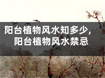 阳台植物风水知多少,阳台植物风水禁忌