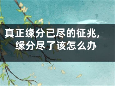 真正缘分已尽的征兆,缘分尽了该怎么办