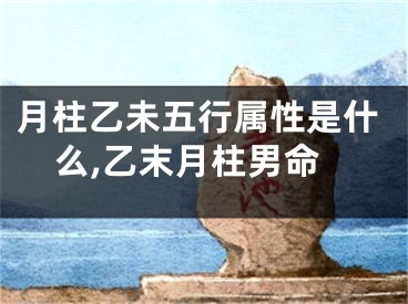 月柱乙未五行属性是什么,乙末月柱男命