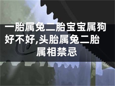 一胎属兔二胎宝宝属狗好不好,头胎属兔二胎属相禁忌