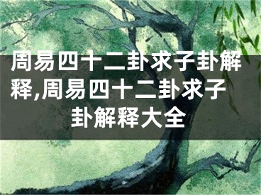 周易四十二卦求子卦解释,周易四十二卦求子卦解释大全