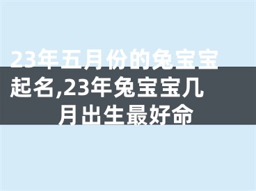 23年五月份的兔宝宝起名,23年兔宝宝几月出生最好命