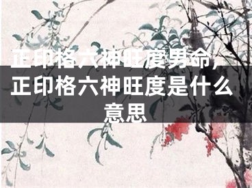 正印格六神旺度男命,正印格六神旺度是什么意思