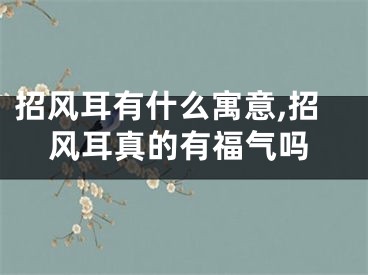 招风耳有什么寓意,招风耳真的有福气吗