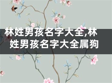 林姓男孩名字大全,林姓男孩名字大全属狗