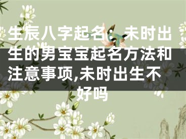 生辰八字起名：未时出生的男宝宝起名方法和注意事项,未时出生不好吗