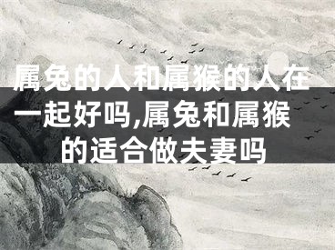 属兔的人和属猴的人在一起好吗,属兔和属猴的适合做夫妻吗