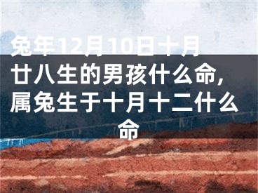 兔年12月10日十月廿八生的男孩什么命,属兔生于十月十二什么命