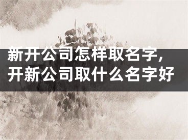 新开公司怎样取名字,开新公司取什么名字好