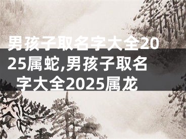 男孩子取名字大全2025属蛇,男孩子取名字大全2025属龙