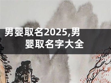 男婴取名2025,男婴取名字大全