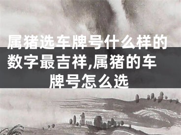 属猪选车牌号什么样的数字最吉祥,属猪的车牌号怎么选