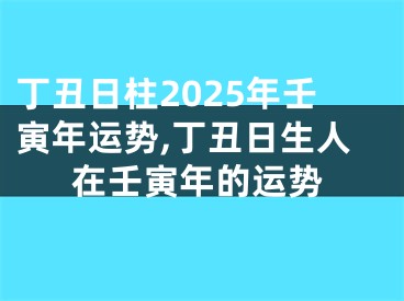 丁丑日柱2025年壬寅年运势,丁丑日生人在壬寅年的运势