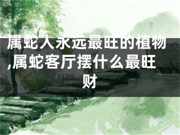 属蛇人永远最旺的植物,属蛇客厅摆什么最旺财