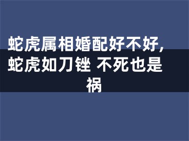 蛇虎属相婚配好不好,蛇虎如刀锉 不死也是祸
