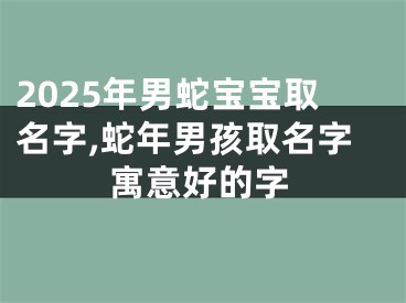 2025年男蛇宝宝取名字,蛇年男孩取名字寓意好的字
