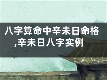 八字算命中辛未日命格,辛未日八字实例