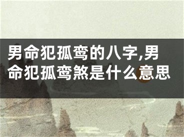 男命犯孤鸾的八字,男命犯孤鸾煞是什么意思
