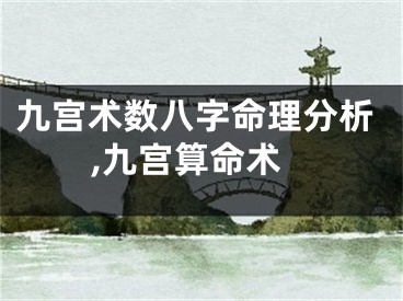 九宫术数八字命理分析,九宫算命术
