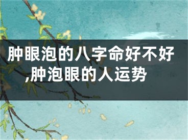 肿眼泡的八字命好不好,肿泡眼的人运势