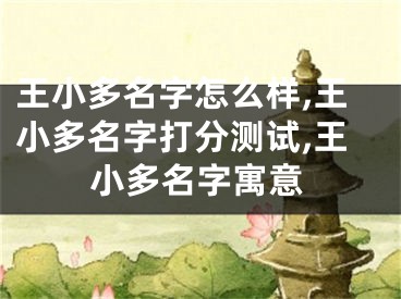 王小多名字怎么样,王小多名字打分测试,王小多名字寓意