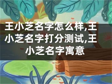 王小芝名字怎么样,王小芝名字打分测试,王小芝名字寓意