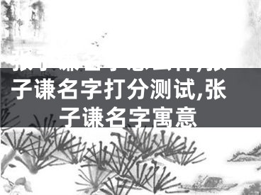 张子谦名字怎么样,张子谦名字打分测试,张子谦名字寓意
