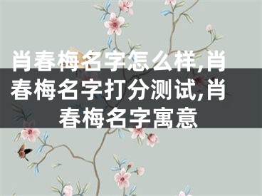 肖春梅名字怎么样,肖春梅名字打分测试,肖春梅名字寓意