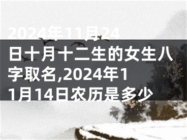 2024年11月24日十月十二生的女生八字取名,2024年11月14日农历是多少