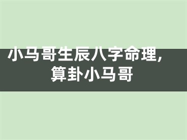 小马哥生辰八字命理,算卦小马哥