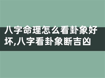 八字命理怎么看卦象好坏,八字看卦象断吉凶
