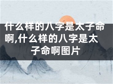 什么样的八字是太子命啊,什么样的八字是太子命啊图片