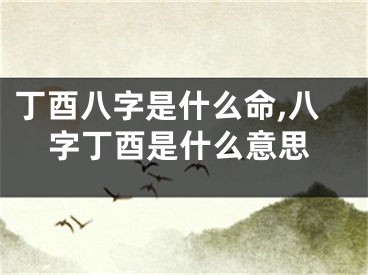 丁酉八字是什么命,八字丁酉是什么意思